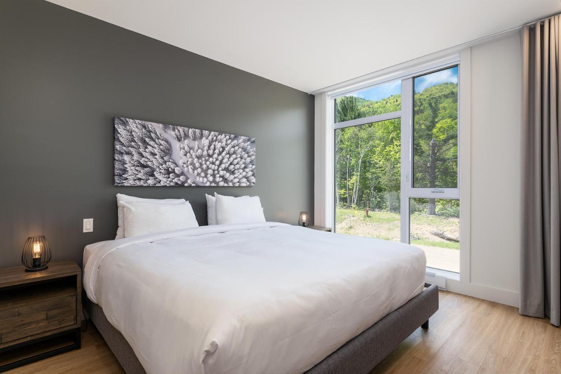 Les Appartements Du Massif De Charlevoix Petite-Riviere-Saint-Francois Room photo