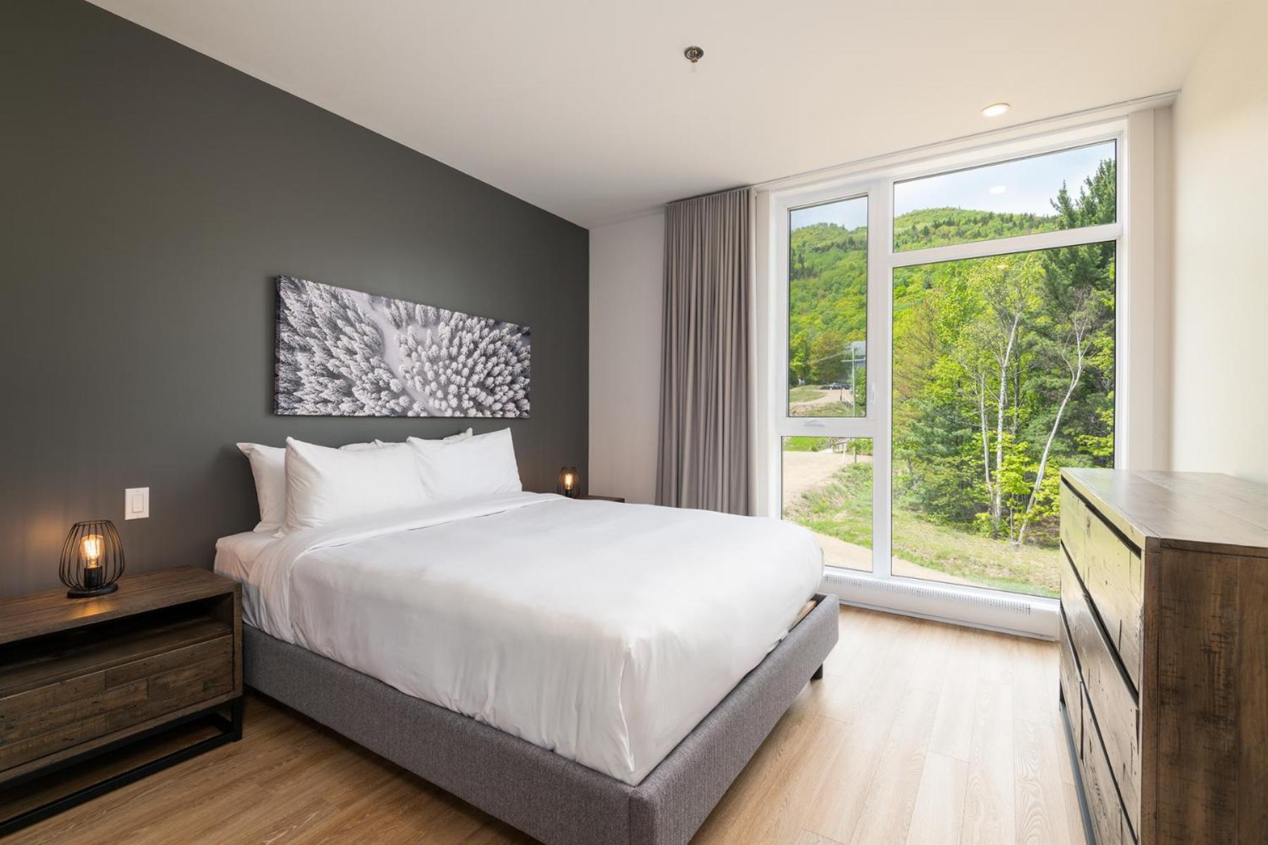 Les Appartements Du Massif De Charlevoix Petite-Riviere-Saint-Francois Room photo